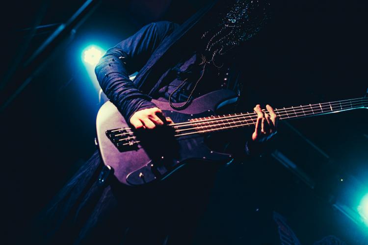 Severals Press Photo